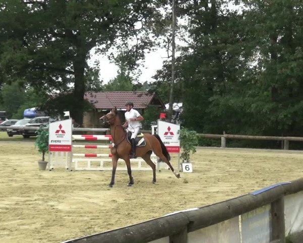 Reitturnier Rhede 2021