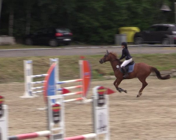 Reitturnier Lgl.-Oberhain, B95 2021