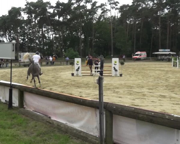 Reitturnier Rhede 2021