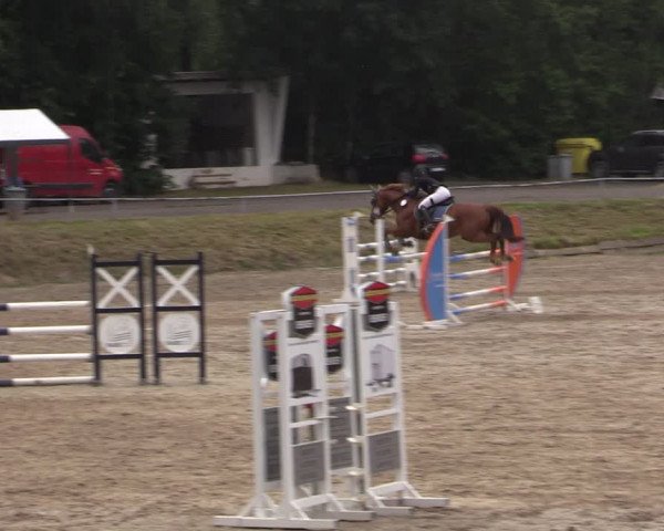 Reitturnier Lgl.-Oberhain, B95 2021