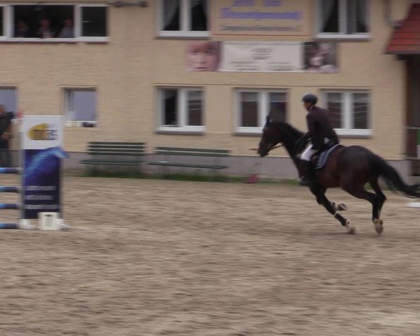 Reitturnier Lgl.-Oberhain, B95 2021