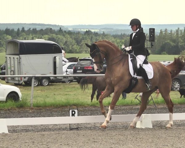 Reitturnier Jettingen 2021