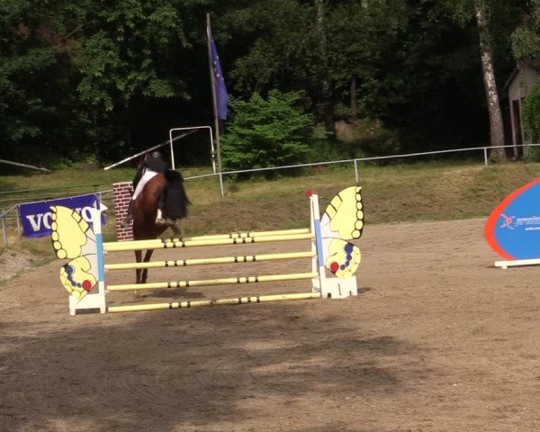 Reitturnier Lgl.-Oberhain, B95 2021