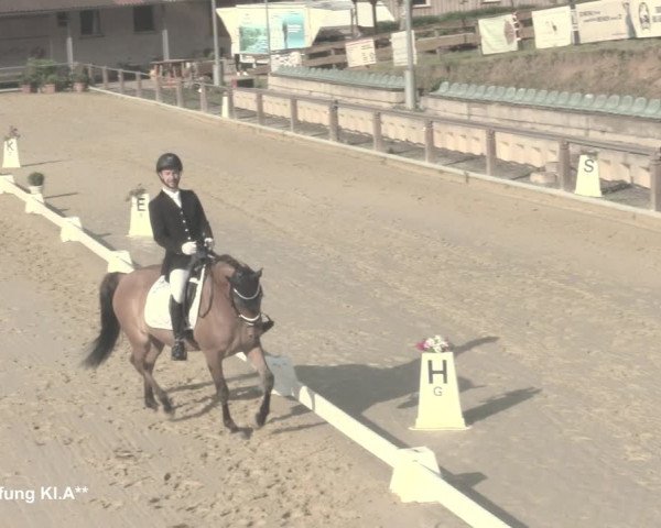 Reitturnier Uder, Reitanlage Kobold 2021