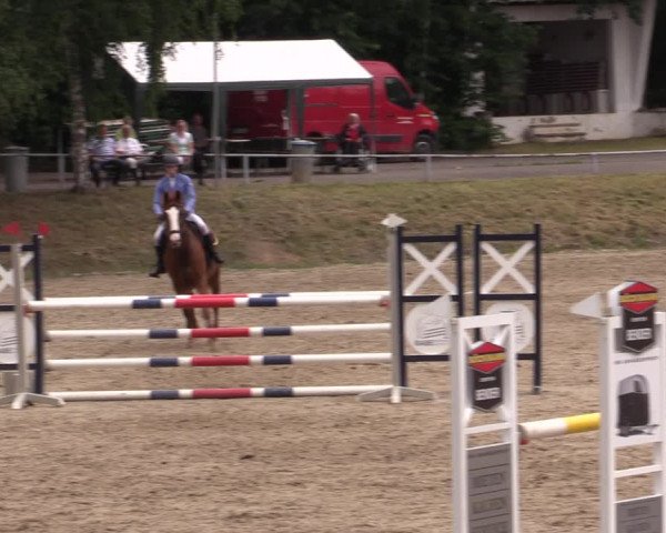 Reitturnier Lgl.-Oberhain, B95 2021