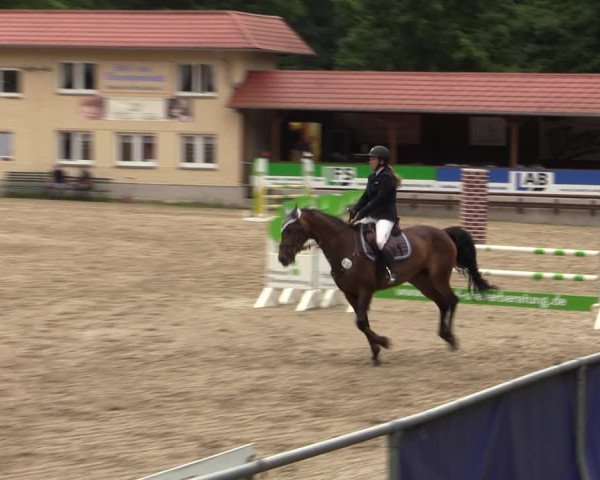 Reitturnier Lgl.-Oberhain, B95 2021