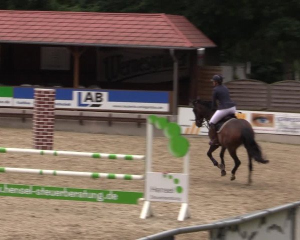 Reitturnier Lgl.-Oberhain, B95 2021