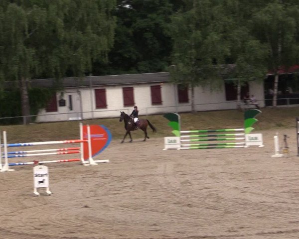 Reitturnier Lgl.-Oberhain, B95 2021