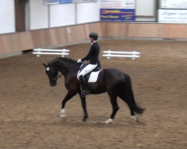 Reitturnier Rhede 2021