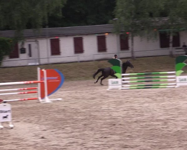 Reitturnier Lgl.-Oberhain, B95 2021