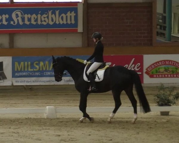 Steinhagen Classics 2021
