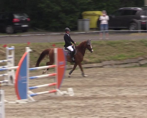 Reitturnier Lgl.-Oberhain, B95 2021