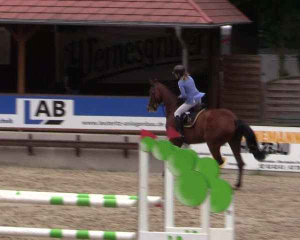 Reitturnier Lgl.-Oberhain, B95 2021
