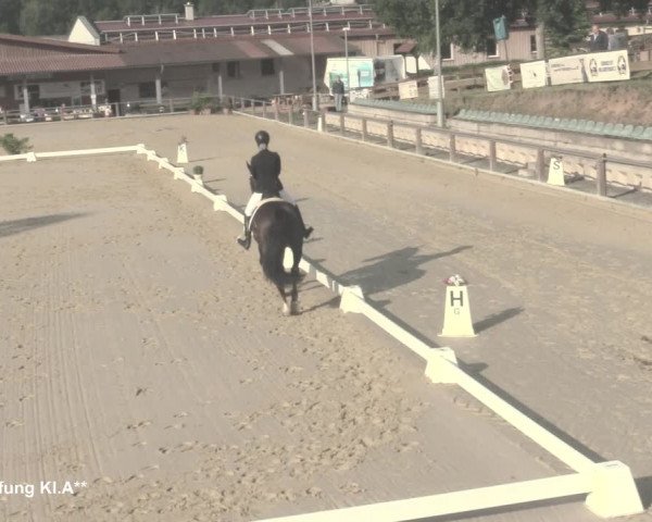 Reitturnier Uder, Reitanlage Kobold 2021