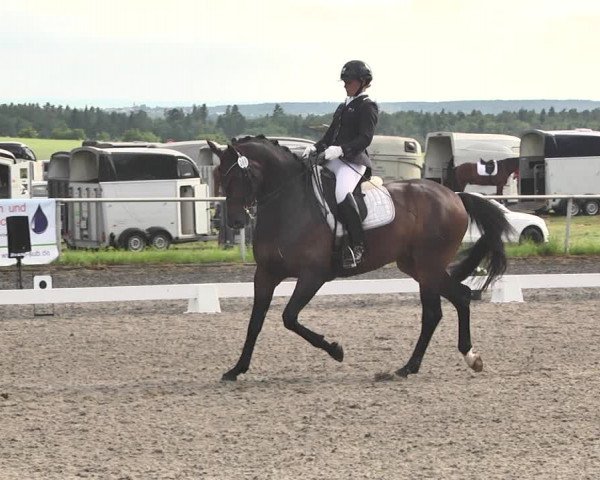 Reitturnier Jettingen 2021