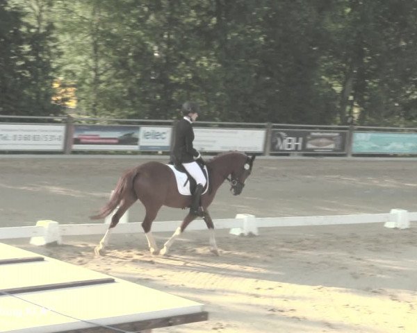 Reitturnier Uder, Reitanlage Kobold 2021