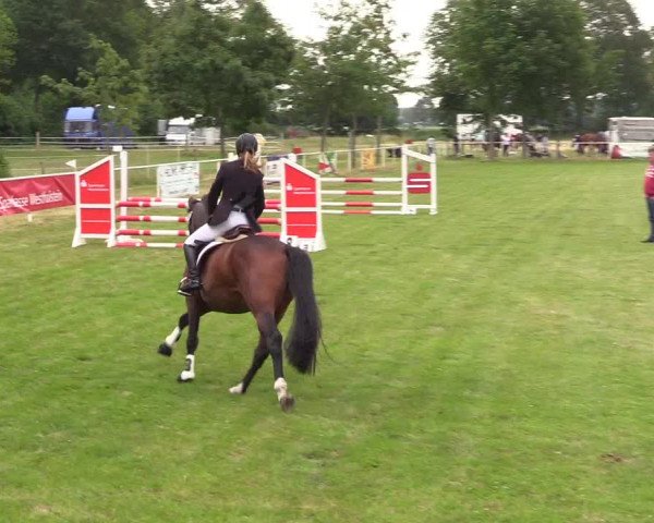 Reitturnier Kellinghusen 2021