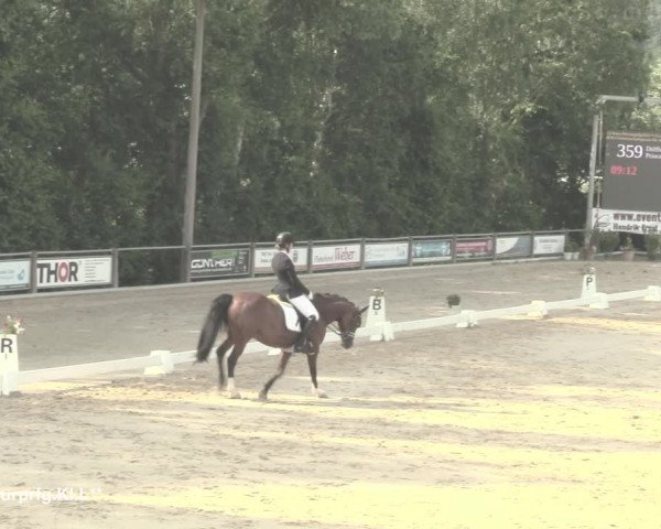 Reitturnier Uder, Reitanlage Kobold 2021