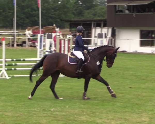 Reitturnier Kellinghusen 2021