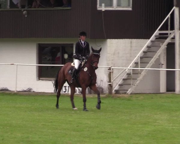 Reitturnier Kellinghusen 2021
