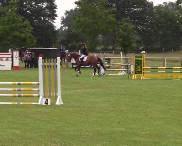 Reitturnier Kellinghusen 2021