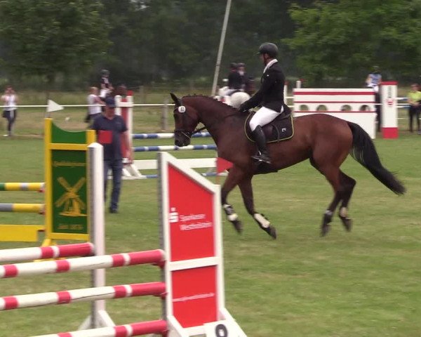 Reitturnier Kellinghusen 2021