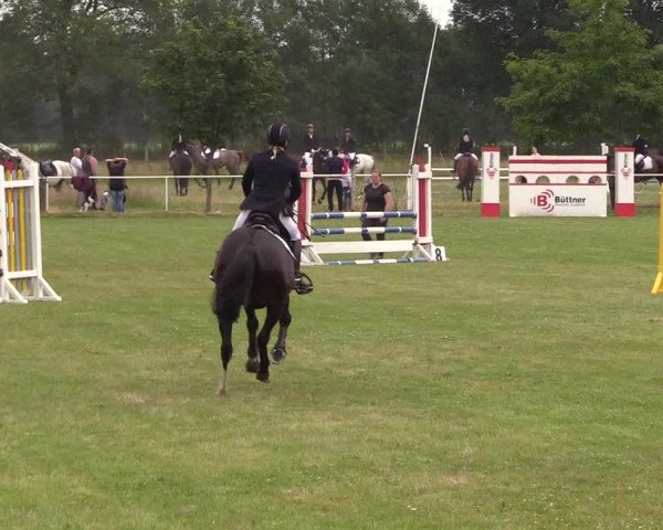 Reitturnier Kellinghusen 2021