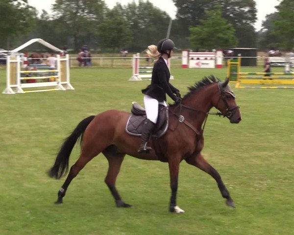 Reitturnier Kellinghusen 2021