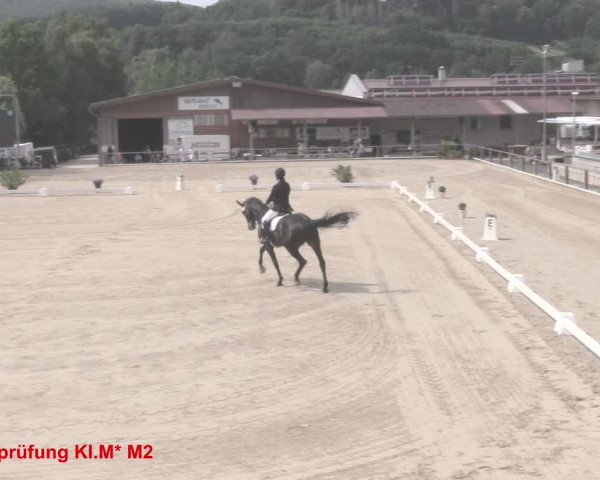 Reitturnier Uder, Reitanlage Kobold 2021