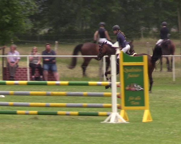 Reitturnier Kellinghusen 2021