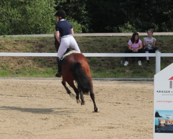 Reitturnier Oberkaufungen 2021