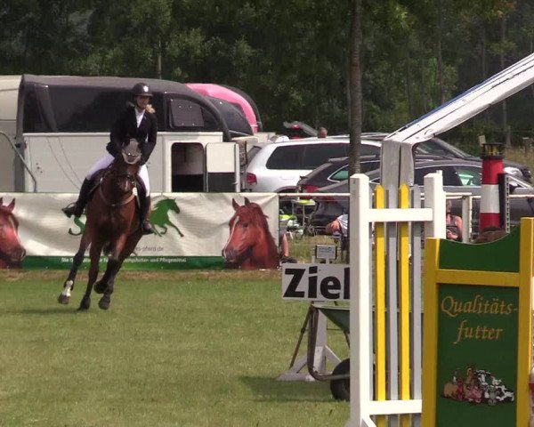 Reitturnier Kellinghusen 2021