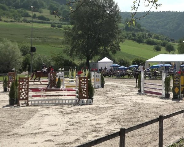Reitturnier Rothenfluh 2021