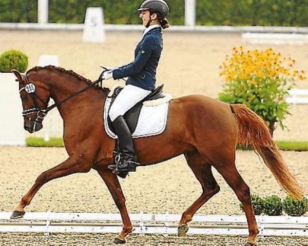 broodmare Cherie S WE (German Riding Pony, 2009, from Charivari)