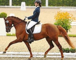 broodmare Cherie S WE (German Riding Pony, 2009, from Charivari)