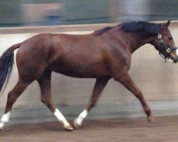 horse Utopia (Bavarian, 2011, from Disco-Boy)
