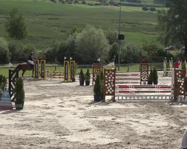 Reitturnier Rothenfluh 2021