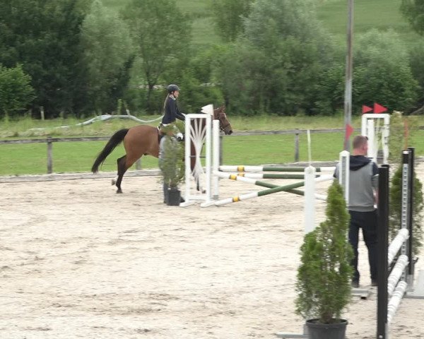 Reitturnier Rothenfluh 2021