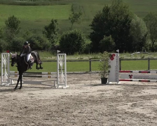 Reitturnier Rothenfluh 2021