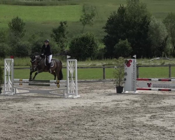 Reitturnier Rothenfluh 2021
