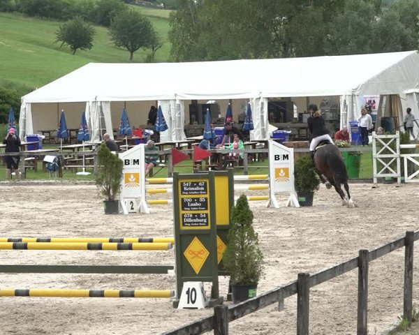 Reitturnier Rothenfluh 2021