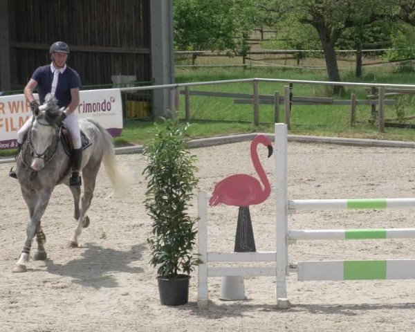 Reitturnier Köngen 2021
