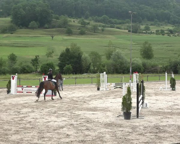 Reitturnier Rothenfluh 2021