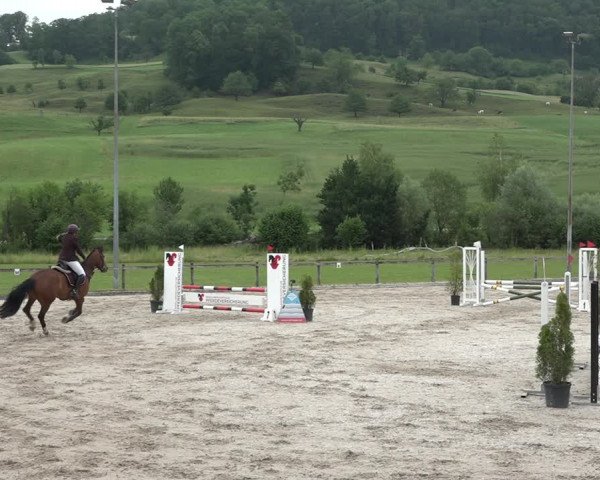 Reitturnier Rothenfluh 2021