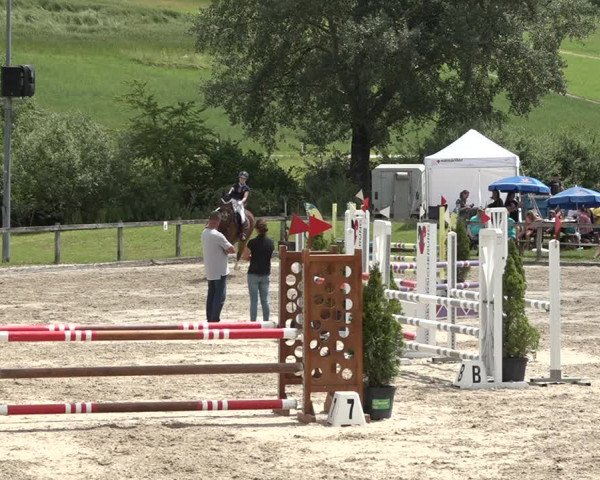 Reitturnier Rothenfluh 2021