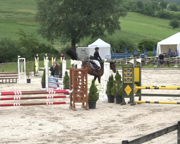 Reitturnier Rothenfluh 2021