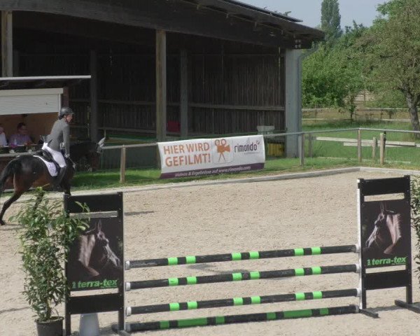 Reitturnier Köngen 2021