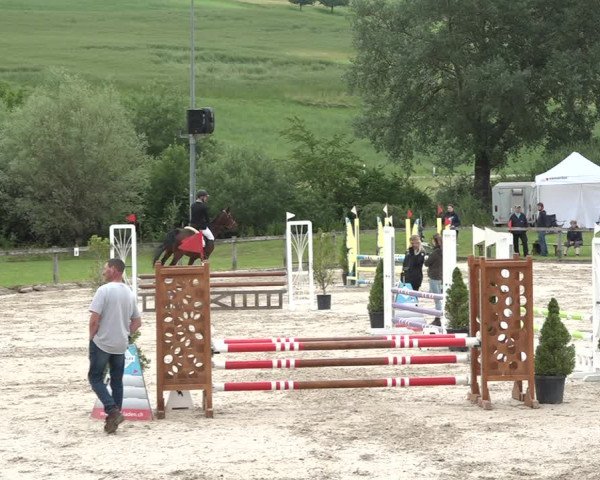 Reitturnier Rothenfluh 2021