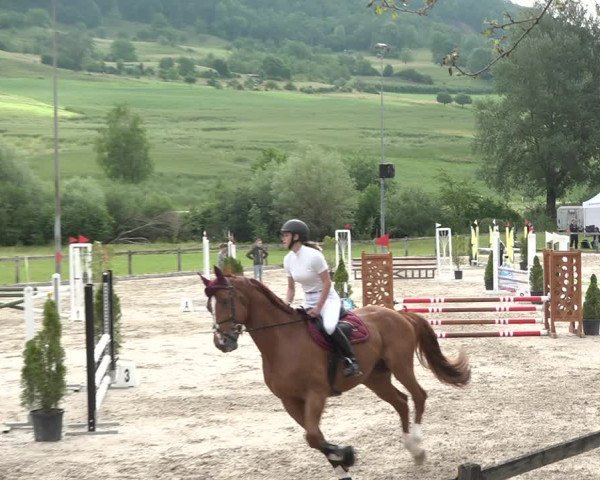 Reitturnier Rothenfluh 2021