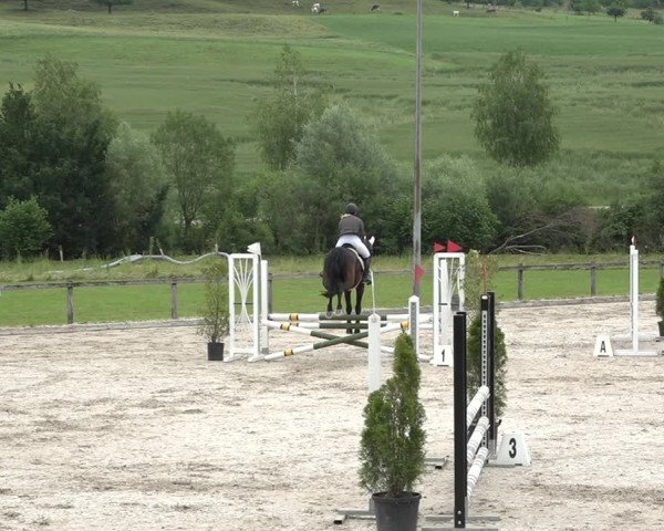 Reitturnier Rothenfluh 2021